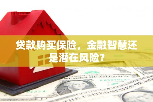 杭锦旗贷款购买保险，金融智慧还是潜在风险？