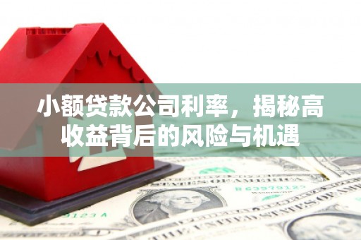 杭锦旗小额贷款公司利率，揭秘高收益背后的风险与机遇