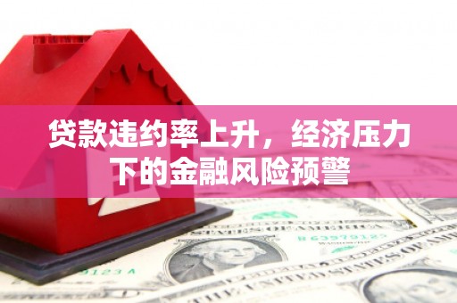 杭锦旗贷款违约率上升，经济压力下的金融风险预警