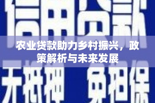 杭锦旗农业贷款助力乡村振兴，政策解析与未来发展