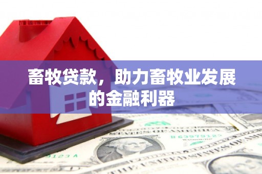 杭锦旗畜牧贷款，助力畜牧业发展的金融利器
