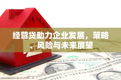 杭锦旗经营贷助力企业发展，策略、风险与未来展望