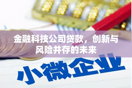杭锦旗金融科技公司贷款，创新与风险并存的未来