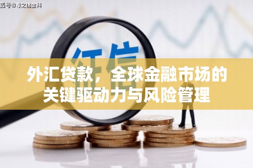 杭锦旗外汇贷款，全球金融市场的关键驱动力与风险管理
