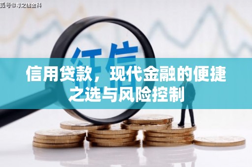 杭锦旗信用贷款，现代金融的便捷之选与风险控制