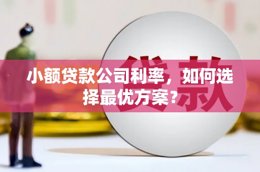 杭锦旗小额贷款公司利率，如何选择最优方案？