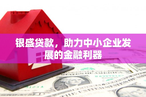 杭锦旗银盛贷款，助力中小企业发展的金融利器