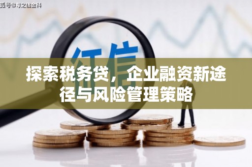 杭锦旗探索税务贷，企业融资新途径与风险管理策略