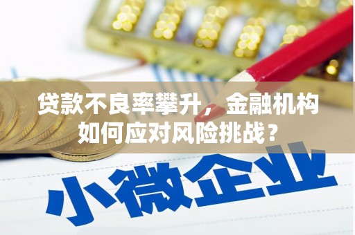 杭锦旗贷款不良率攀升，金融机构如何应对风险挑战？