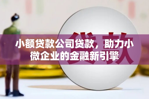 杭锦旗小额贷款公司贷款，助力小微企业的金融新引擎