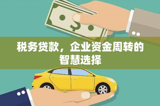 杭锦旗税务贷款，企业资金周转的智慧选择