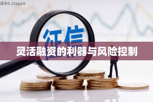 杭锦旗灵活融资的利器与风险控制