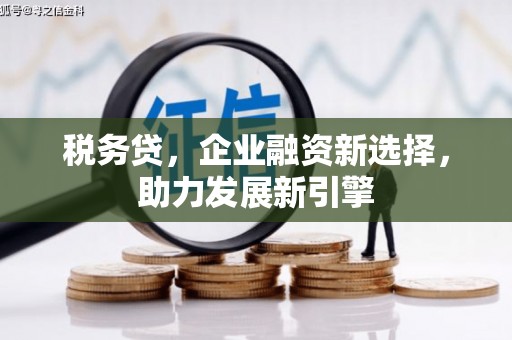 杭锦旗税务贷，企业融资新选择，助力发展新引擎