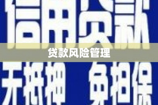 杭锦旗贷款风险管理
