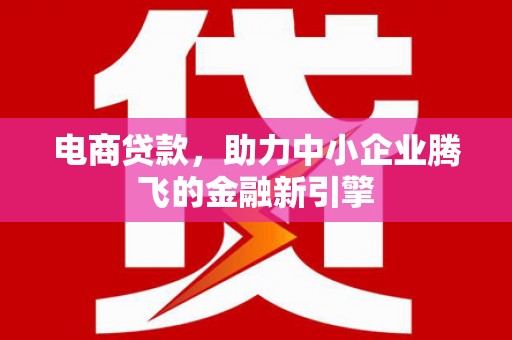 杭锦旗电商贷款，助力中小企业腾飞的金融新引擎