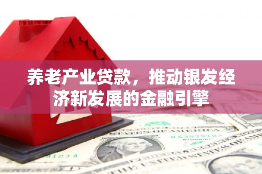 杭锦旗养老产业贷款，推动银发经济新发展的金融引擎