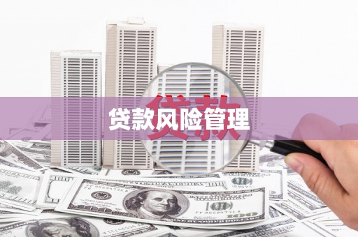 杭锦旗贷款风险管理