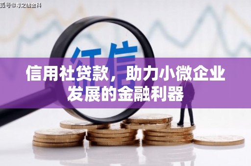 杭锦旗信用社贷款，助力小微企业发展的金融利器