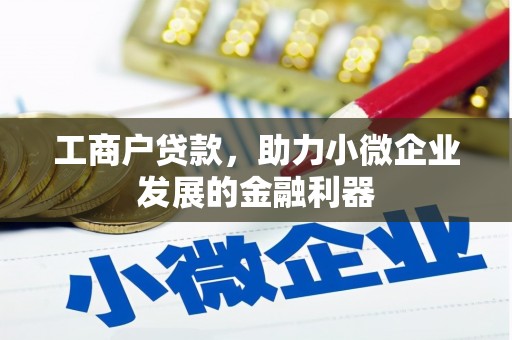 杭锦旗工商户贷款，助力小微企业发展的金融利器