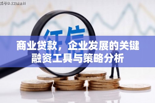 杭锦旗商业贷款，企业发展的关键融资工具与策略分析