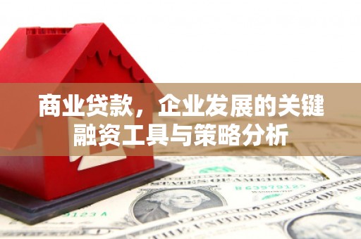 杭锦旗商业贷款，企业发展的关键融资工具与策略分析
