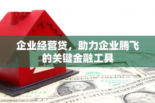 杭锦旗企业经营贷，助力企业腾飞的关键金融工具