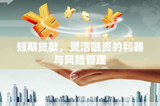 杭锦旗短期贷款，灵活融资的利器与风险管理