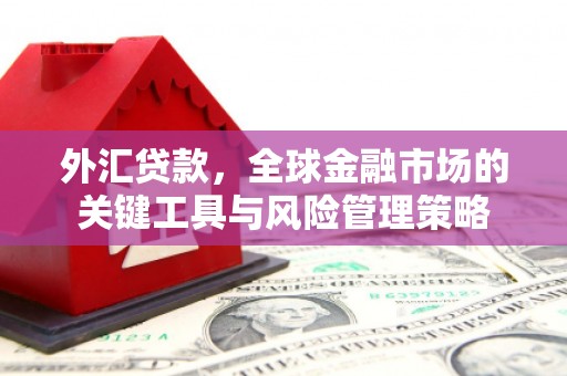杭锦旗外汇贷款，全球金融市场的关键工具与风险管理策略