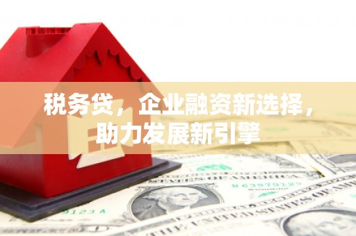 杭锦旗税务贷，企业融资新选择，助力发展新引擎