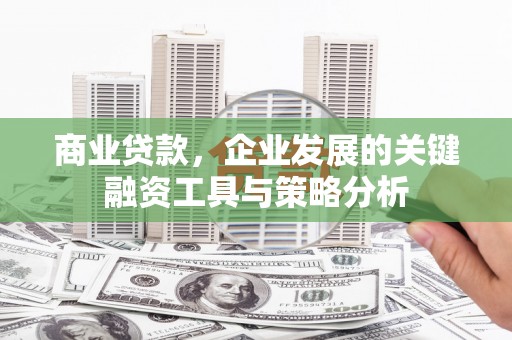 杭锦旗商业贷款，企业发展的关键融资工具与策略分析