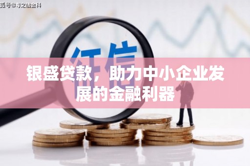 杭锦旗银盛贷款，助力中小企业发展的金融利器