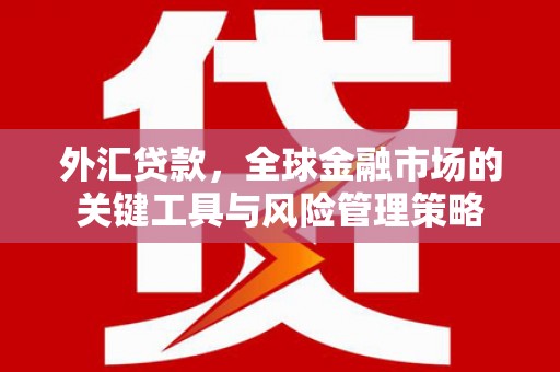 杭锦旗外汇贷款，全球金融市场的关键工具与风险管理策略