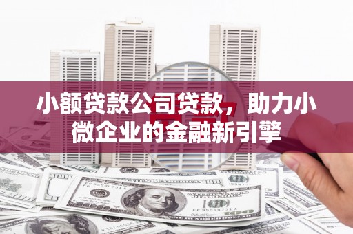 杭锦旗小额贷款公司贷款，助力小微企业的金融新引擎