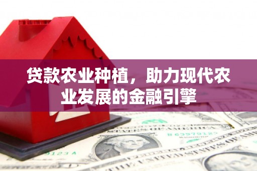 杭锦旗贷款农业种植，助力现代农业发展的金融引擎