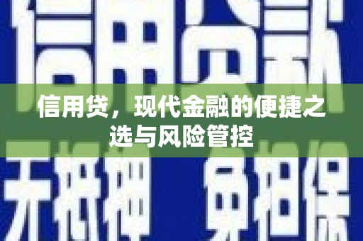 杭锦旗信用贷，现代金融的便捷之选与风险管控