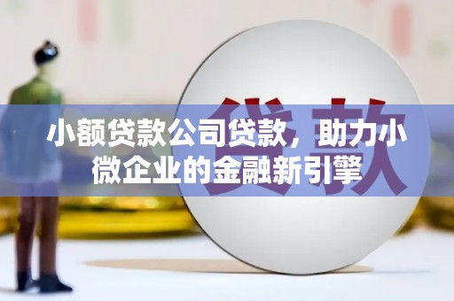 杭锦旗小额贷款公司贷款，助力小微企业的金融新引擎