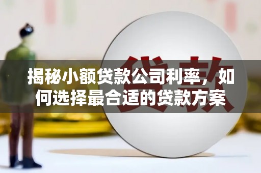 杭锦旗揭秘小额贷款公司利率，如何选择最合适的贷款方案