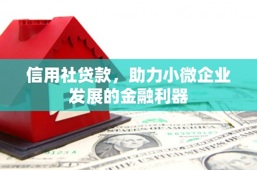杭锦旗信用社贷款，助力小微企业发展的金融利器