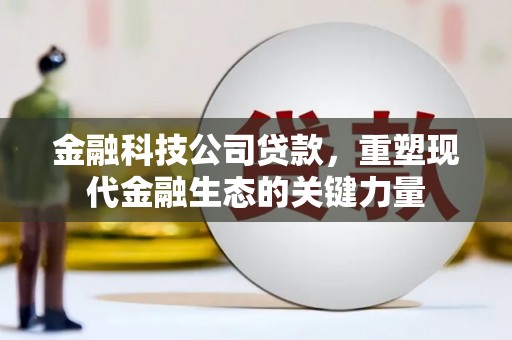 杭锦旗金融科技公司贷款，重塑现代金融生态的关键力量