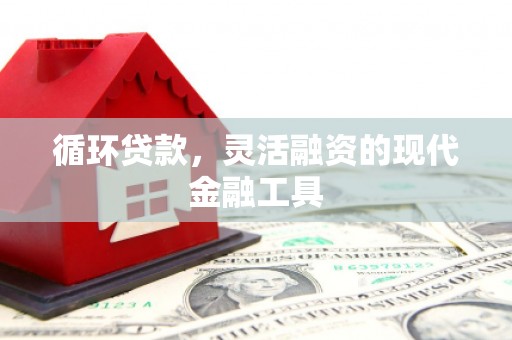 杭锦旗循环贷款，灵活融资的现代金融工具