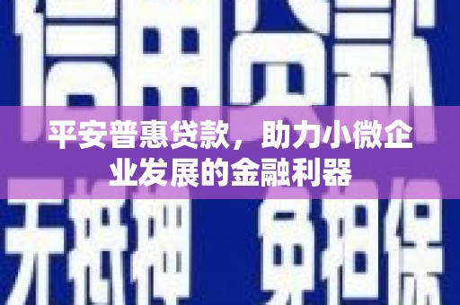 杭锦旗平安普惠贷款，助力小微企业发展的金融利器